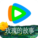 思si 玩物直播回放